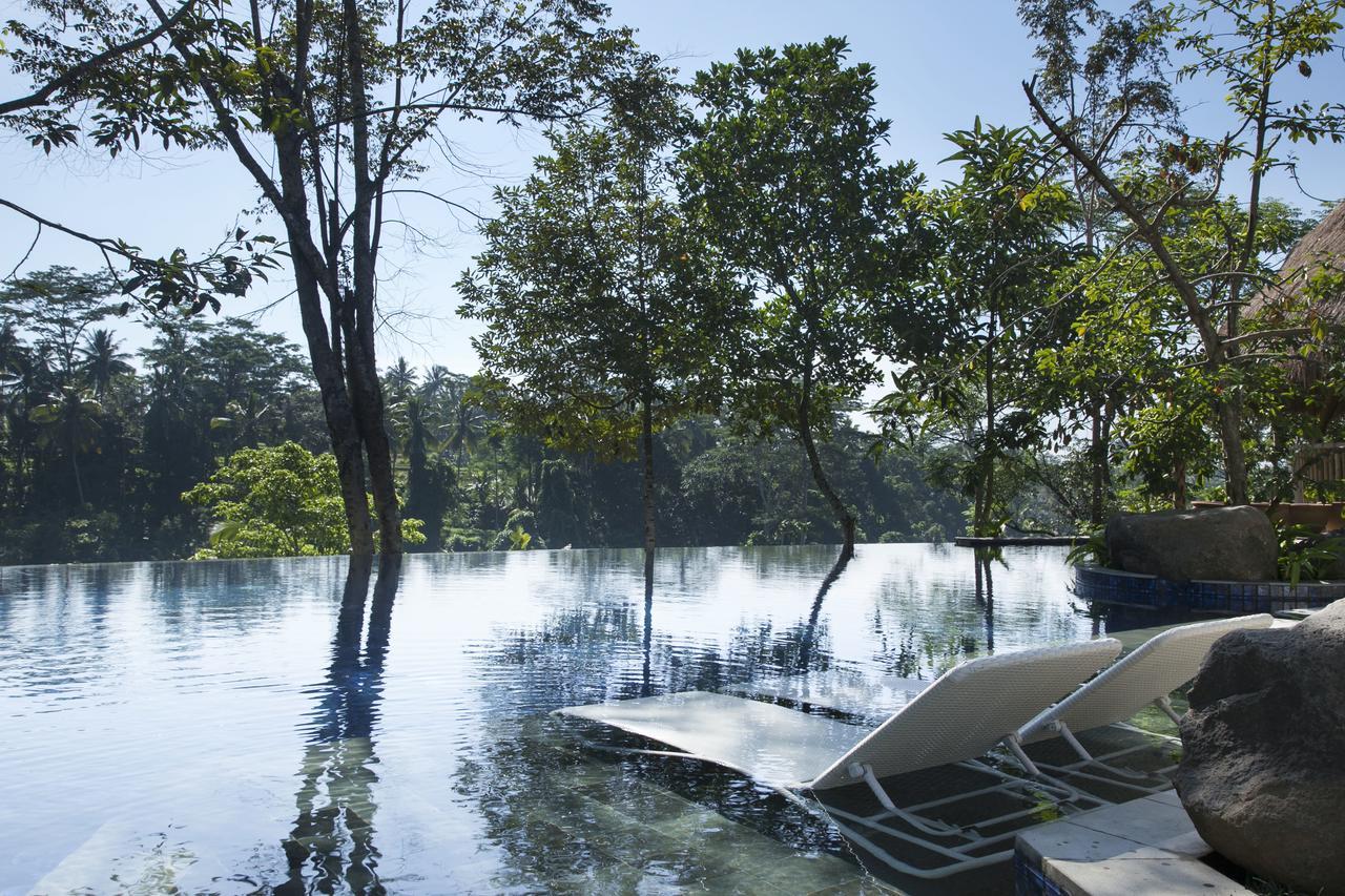 Tejaprana Resort y Spa Ubud Exterior foto The flooded park