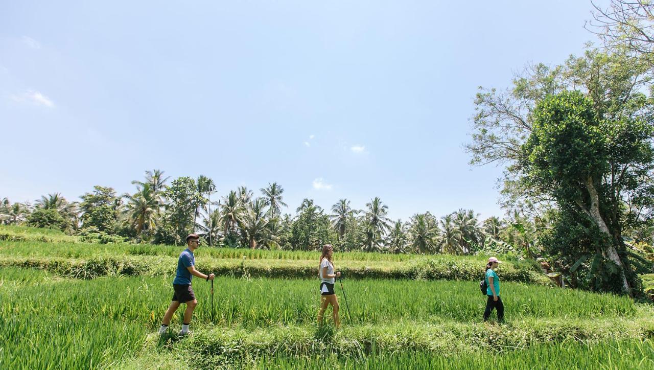 Tejaprana Resort y Spa Ubud Exterior foto Trekking in Bali